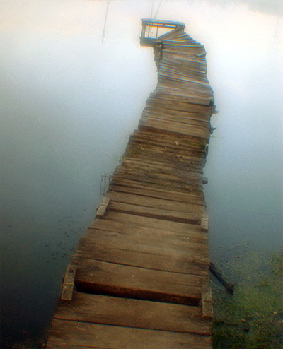 утро 2. водяная змея 