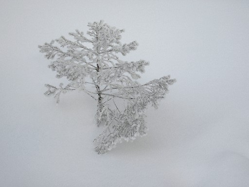 замело снег