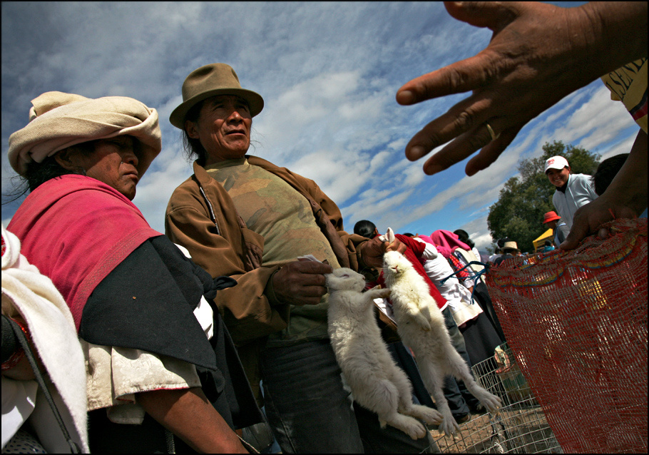 деньги - товар Ecuador