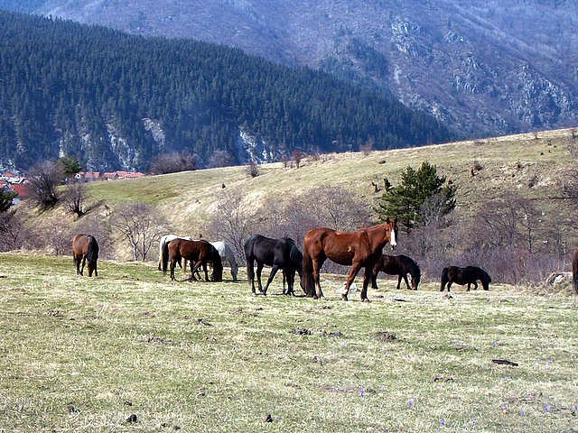 пейзаж пейзаж, природа