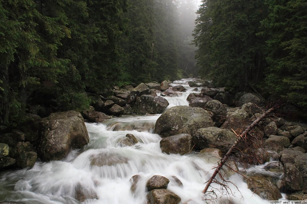 Dvizenie High Tatras Slovakia