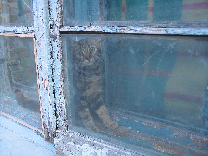 Так вот... 
