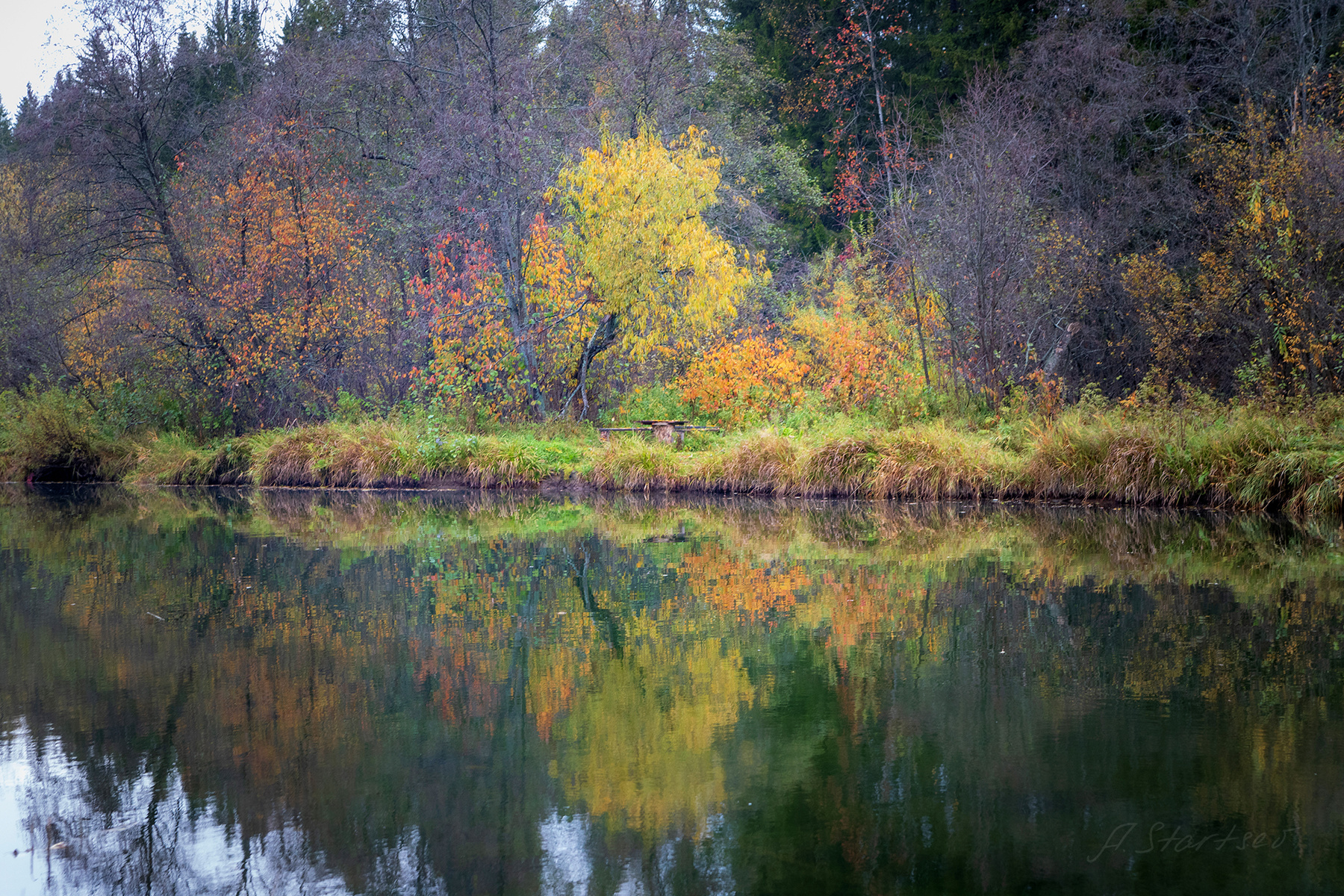 Краски осени 