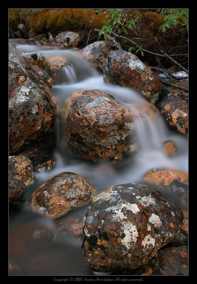 Dairy water Природа Норильск Тундра Dairy water