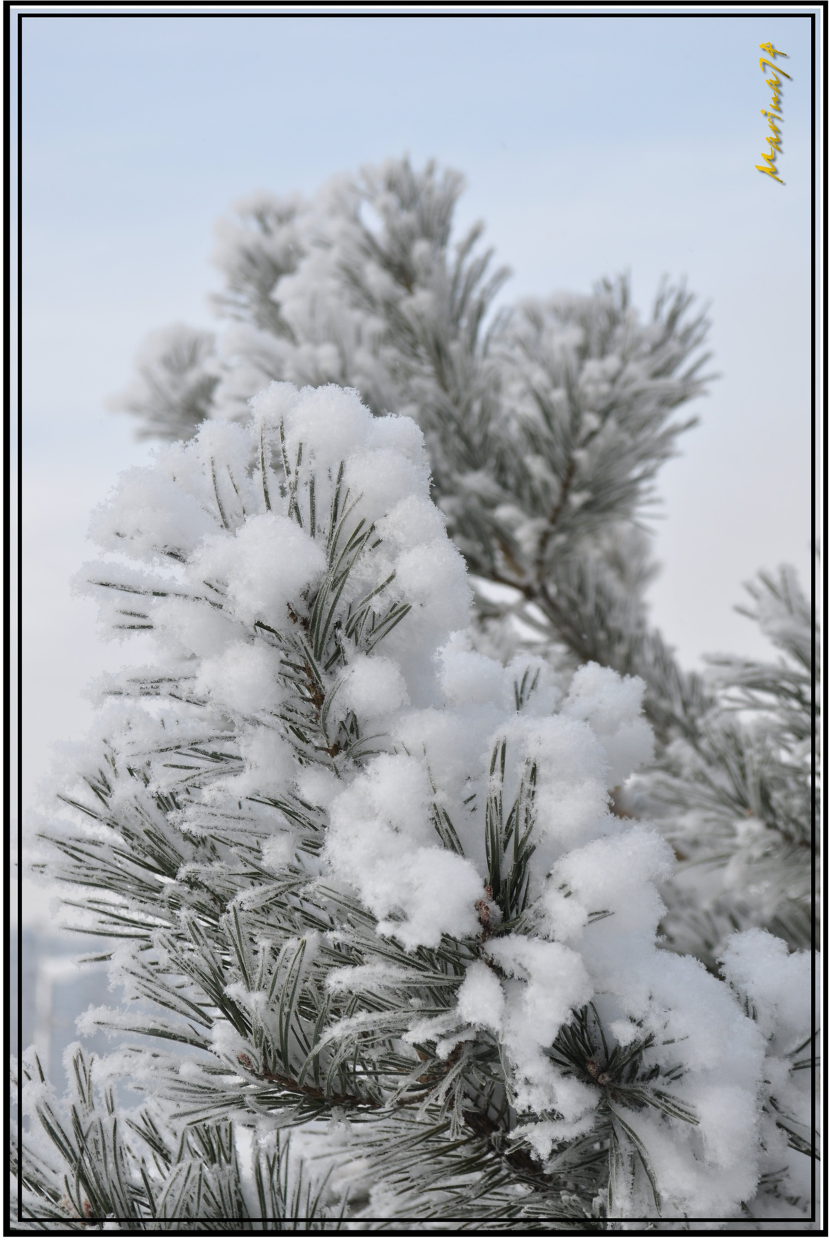Снежная  природа,зима,красота