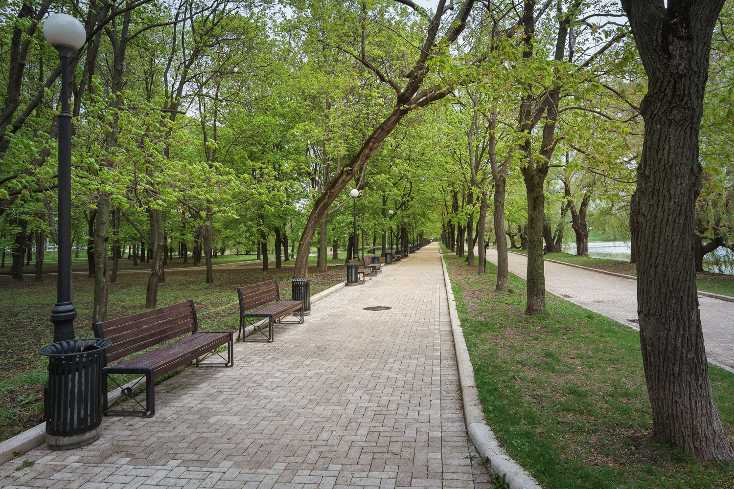 В весеннем парке... парк весна