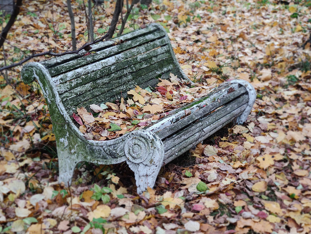 Осень.. 