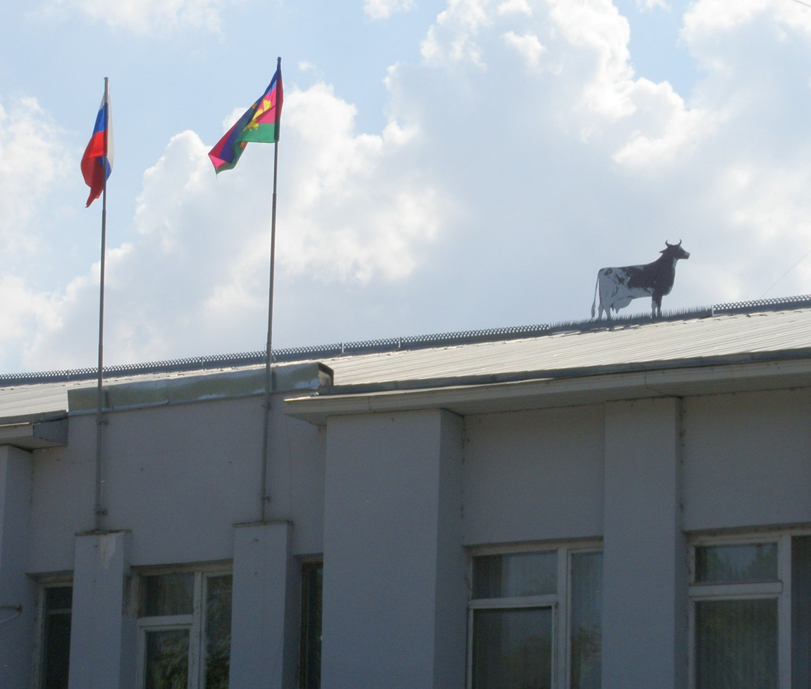 Вся власть... Корова, небо
