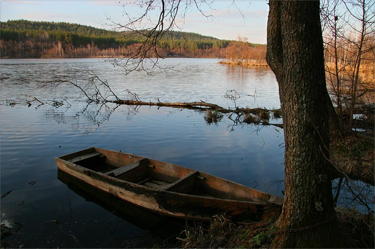 Юлово озеро пруд озеро закат вода лодка дерево лес ветки