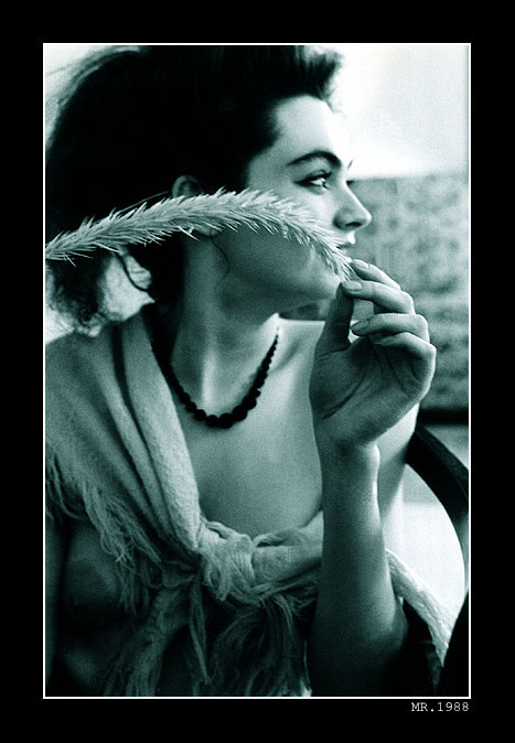 x72x72x 