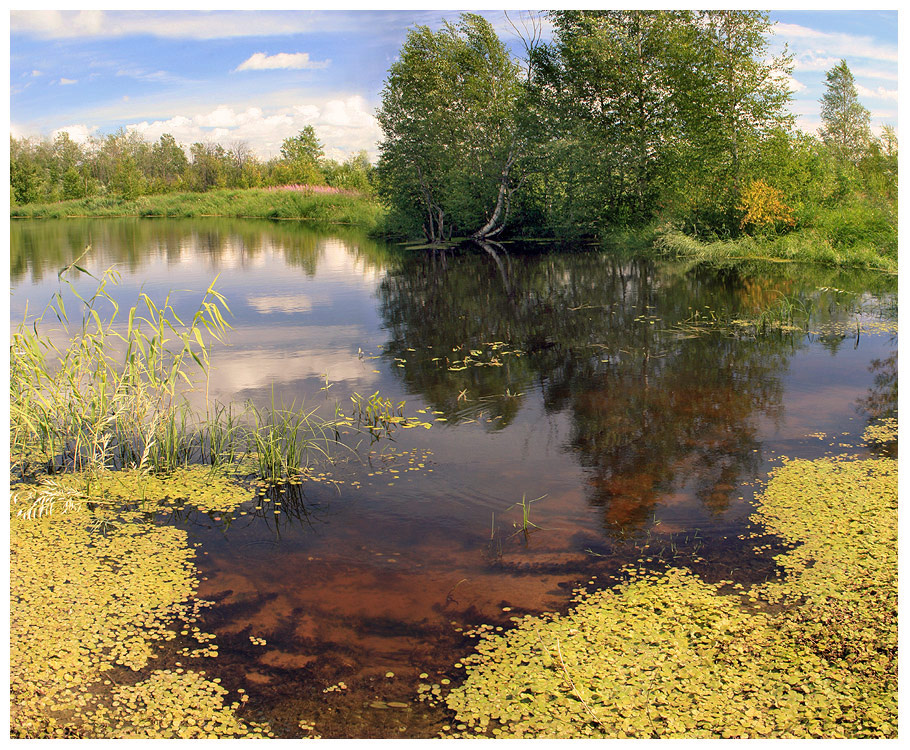 Лето-это маленькая жизнь вода небо трава