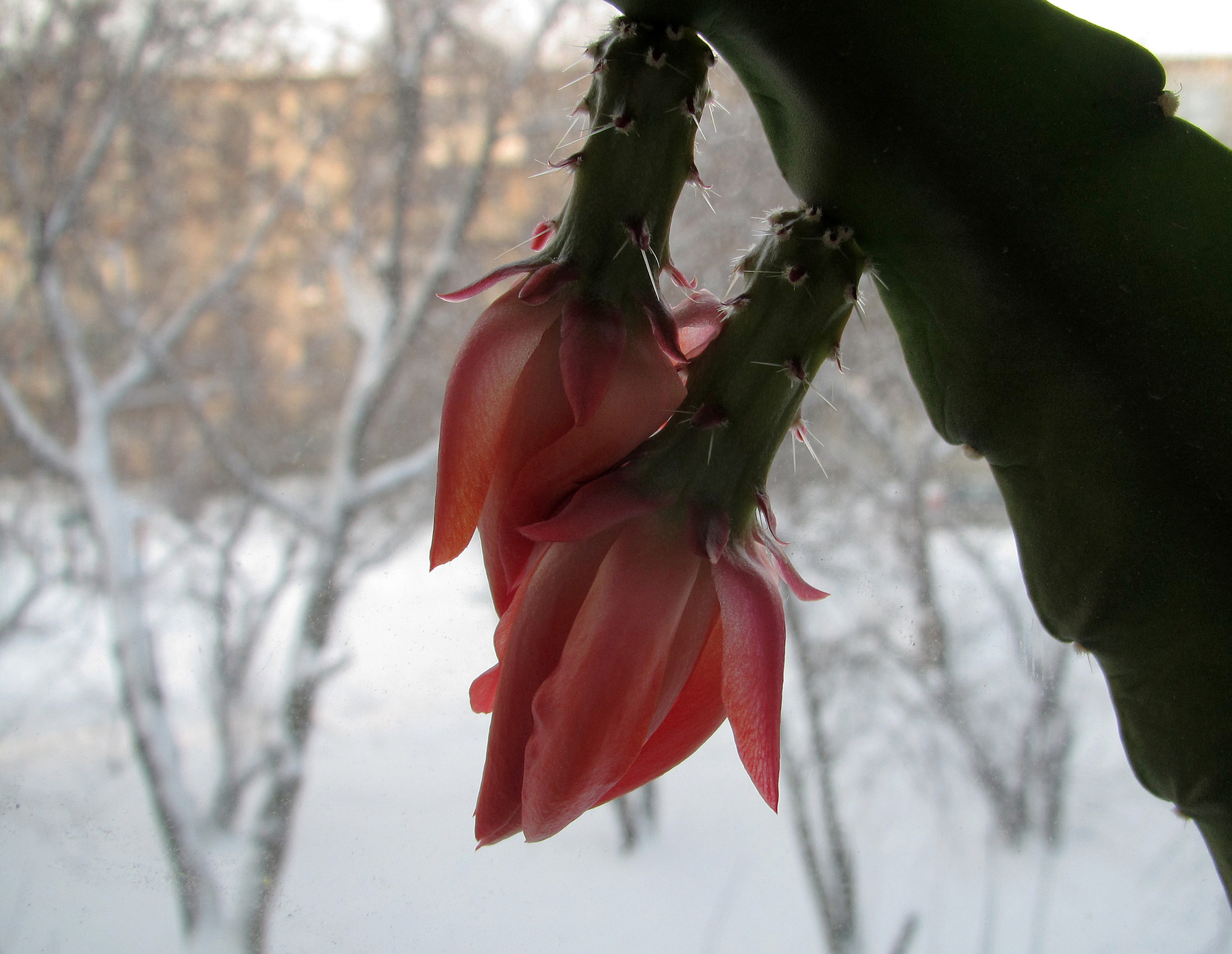С 1 апреля природа весна
