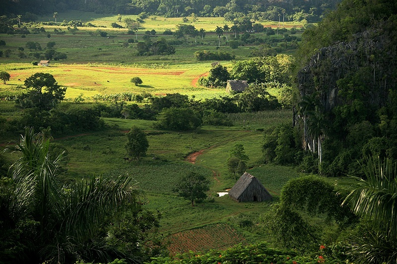 *** Cuba, Куба, природа, пейзаж, долина