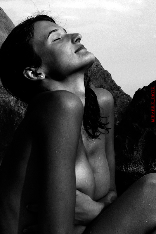 «eclipse» 