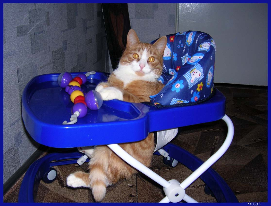 I`m baby too!!! 