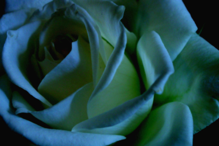 postcard\'ное 