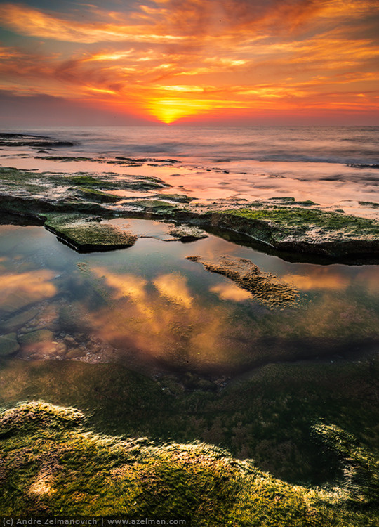 Mediterranen sea ... 