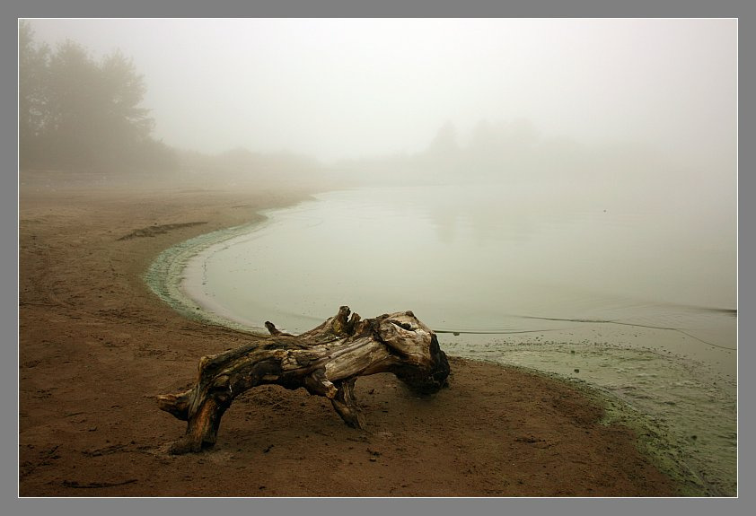 Во власти тумана Туман, вода, коряга