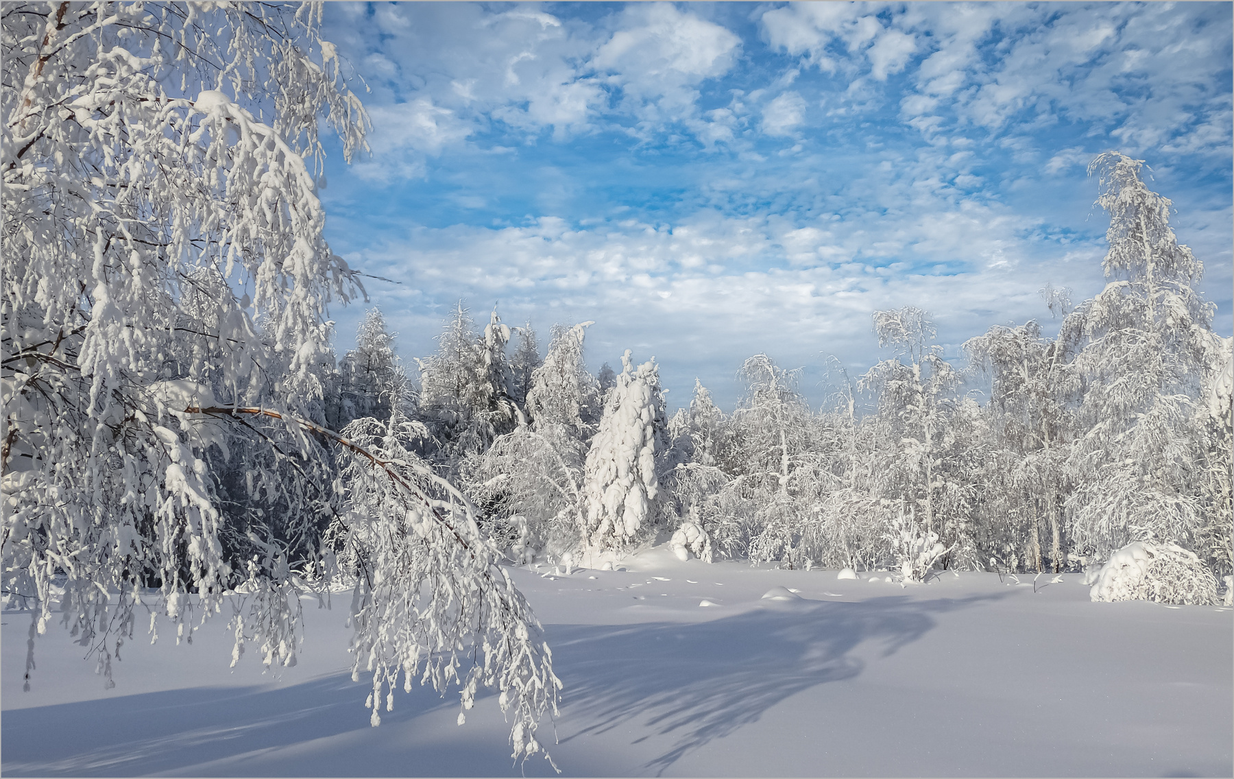 Зима природа