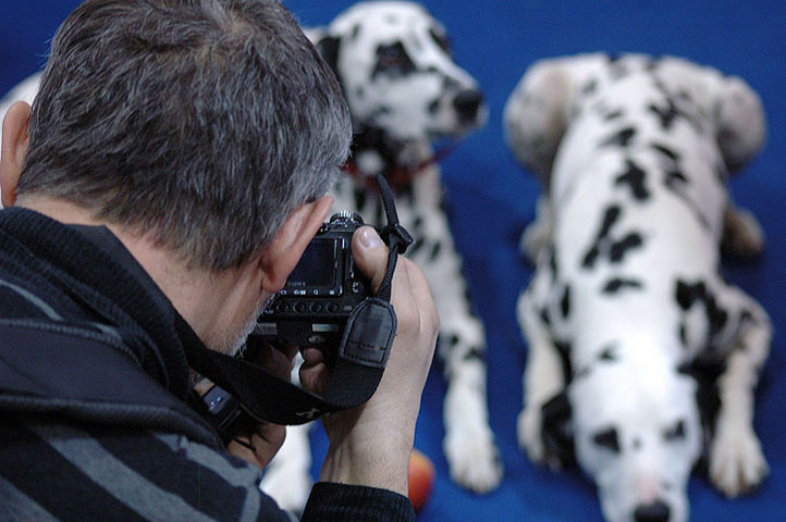 Долмафото? (Картинки с выставки) фотограф долматинцы фотобиеннале 2006