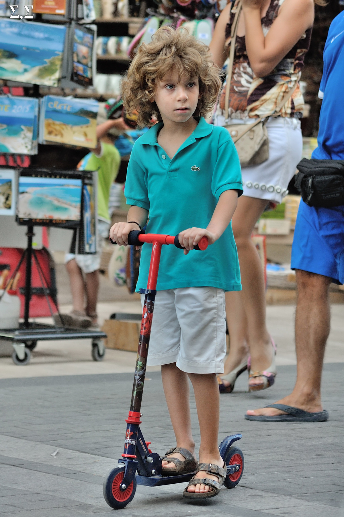THE SKATE TRAVELER 