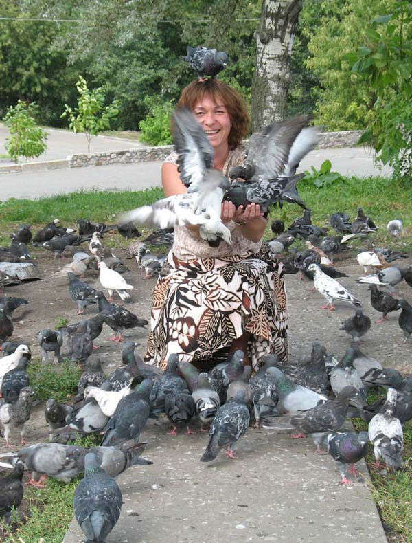 Люди и голуби 