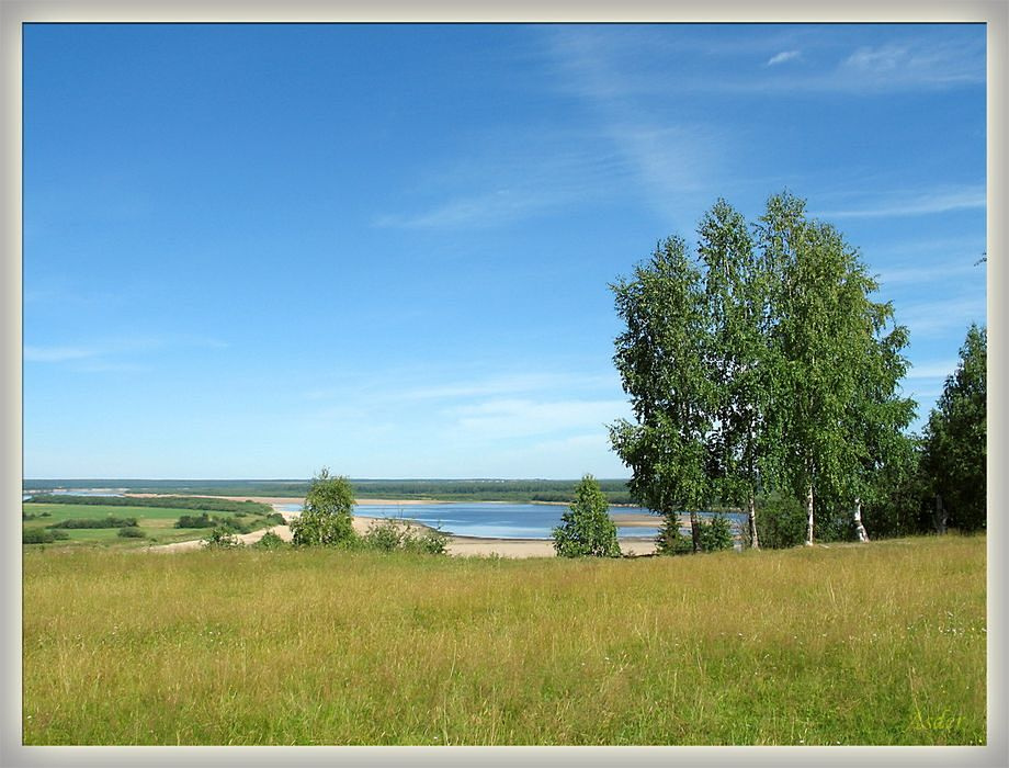Солнечный луг луг река трава берёза лето солнце