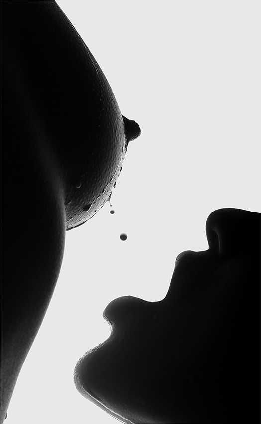 milk 