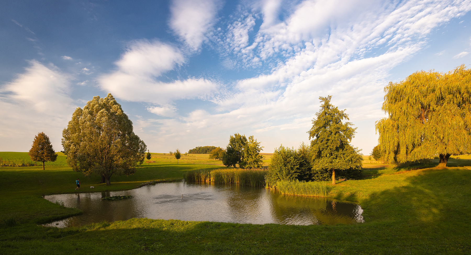 Pond 