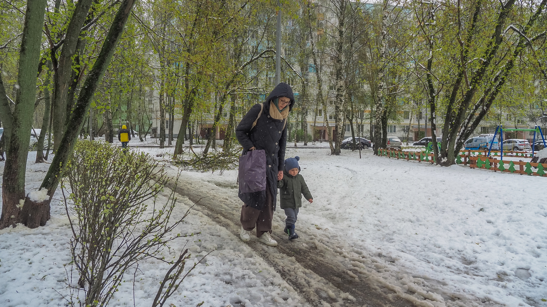 Непогода в Городе olympus 10 MARK IV