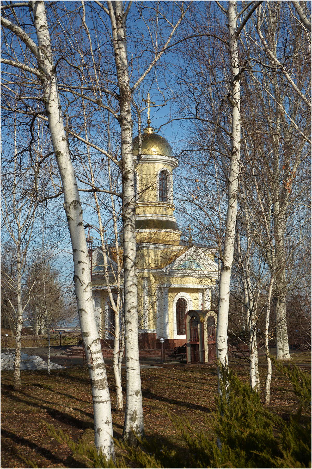 Весенний этюд... небо березы