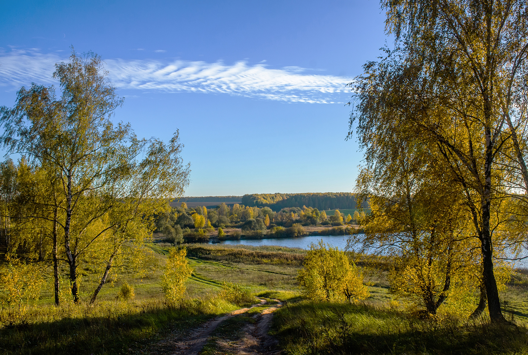 Осень Пейзаж осень природа