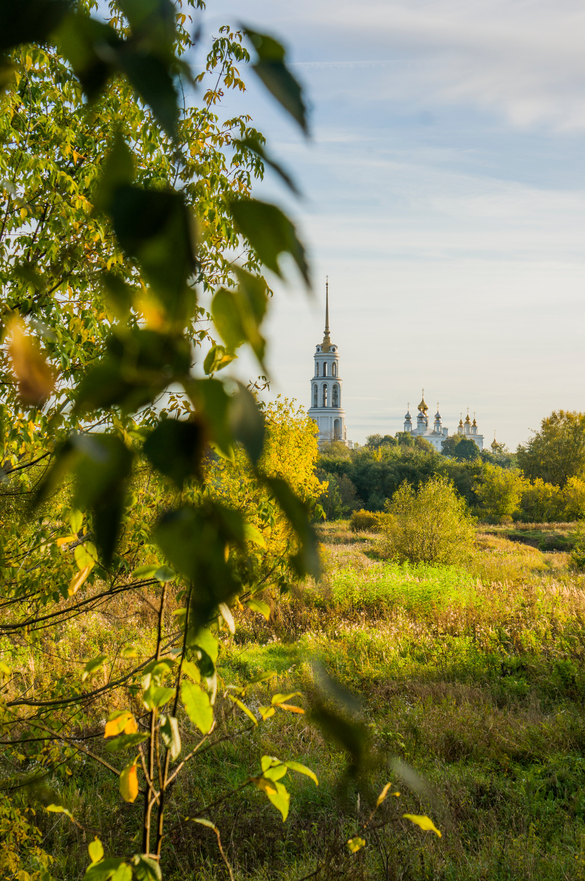осень золотая 