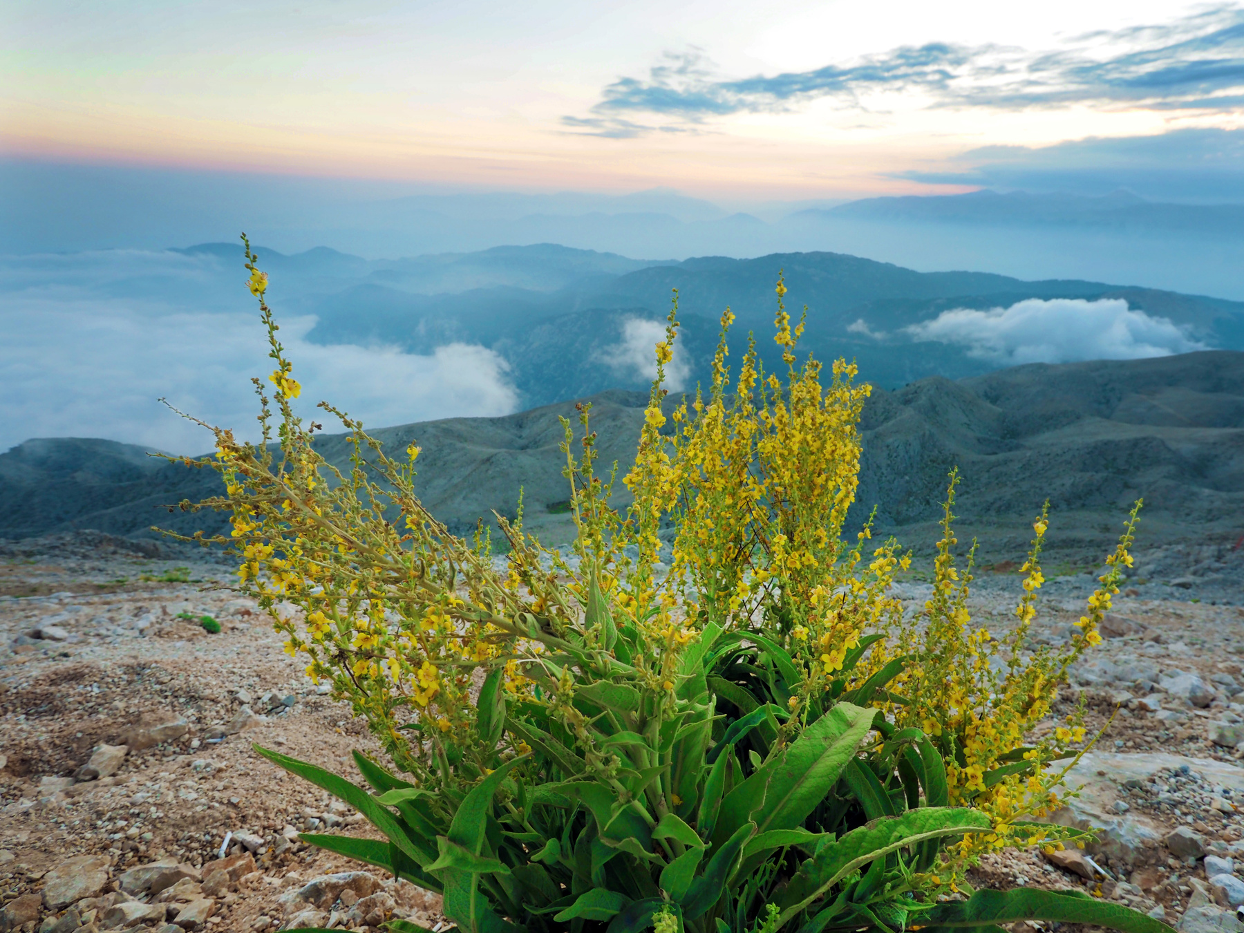 Высота2450м 