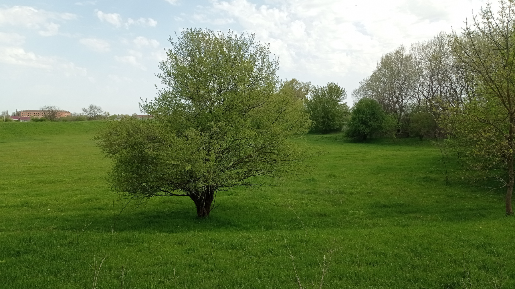 Эскиз апреля 