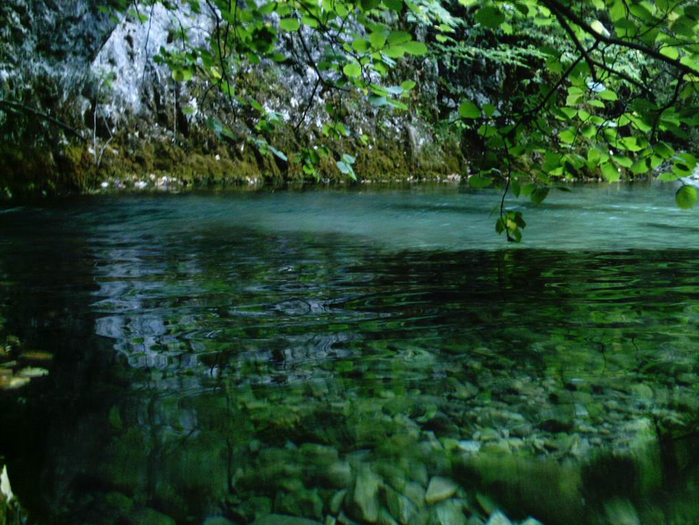 water 