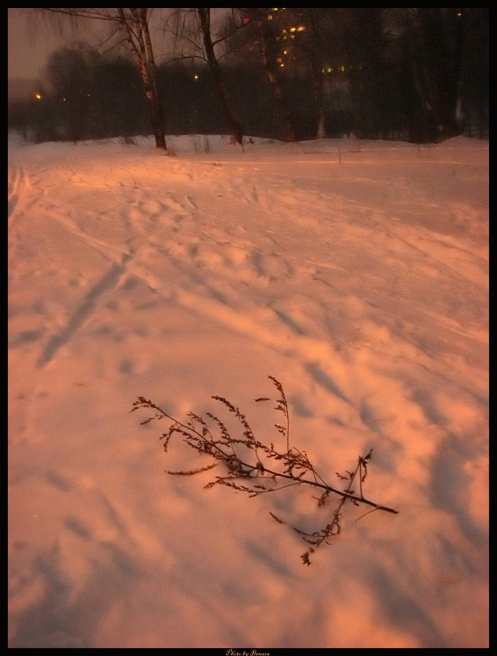 Real January 2007 зима снег вечер