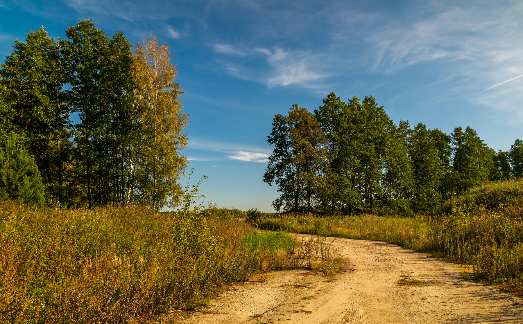 Теплая Подмосковная Осень # IV 