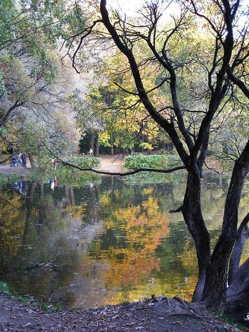 осень осень пруд Фили парк