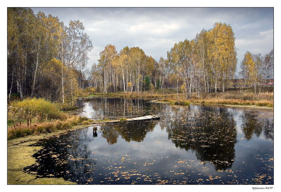 В гостях у Осени Пейзаж. Осень. Лес. Заводь.