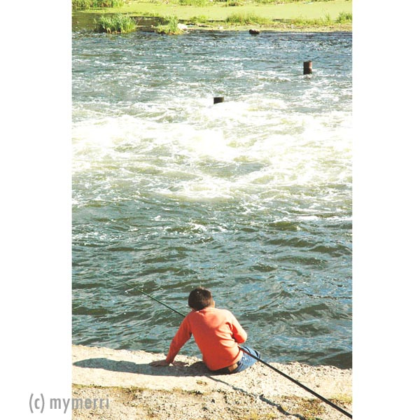 lonelyness 
