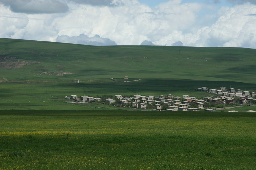 живут 