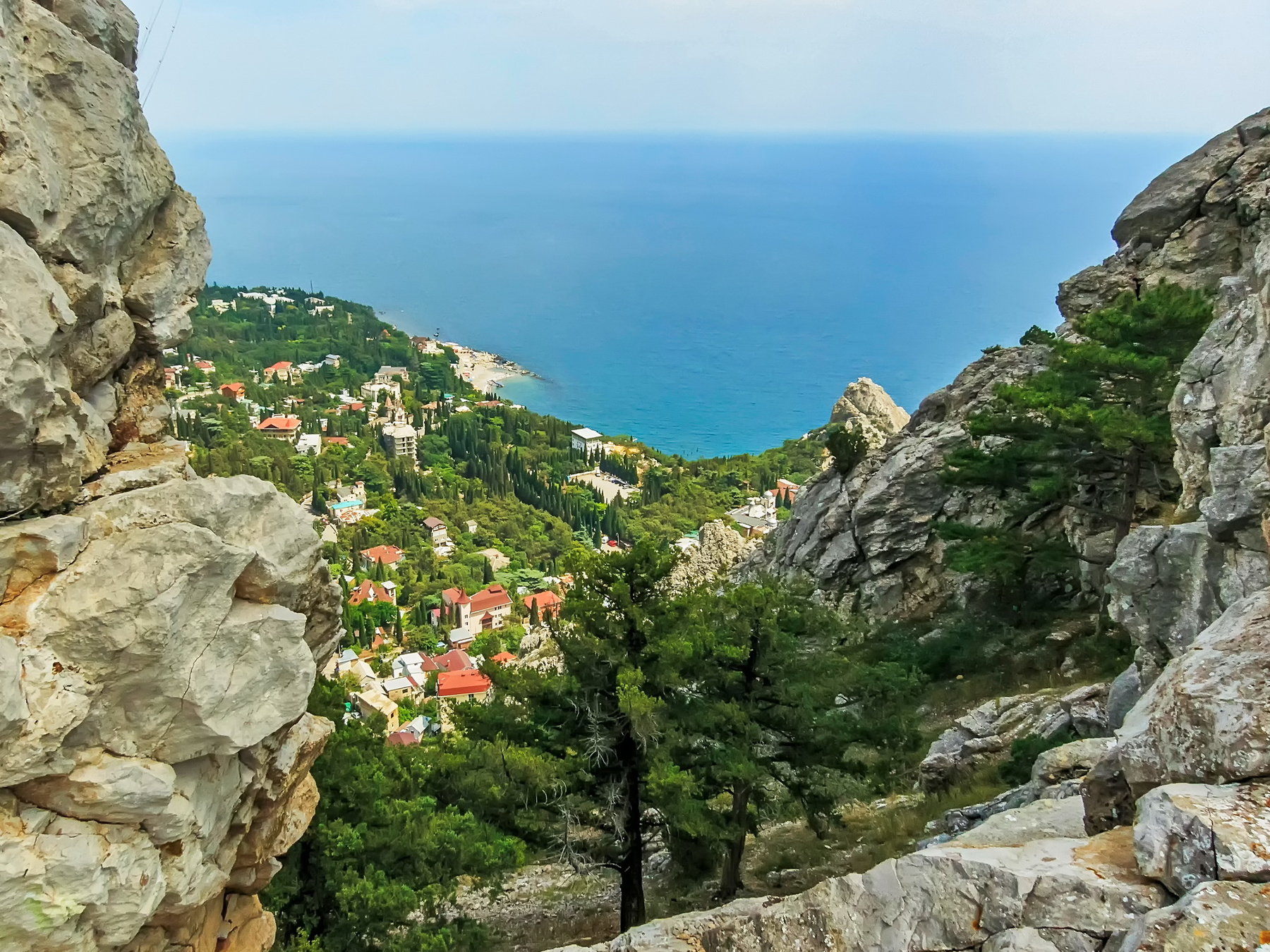Крымские виды Крым гораКошка