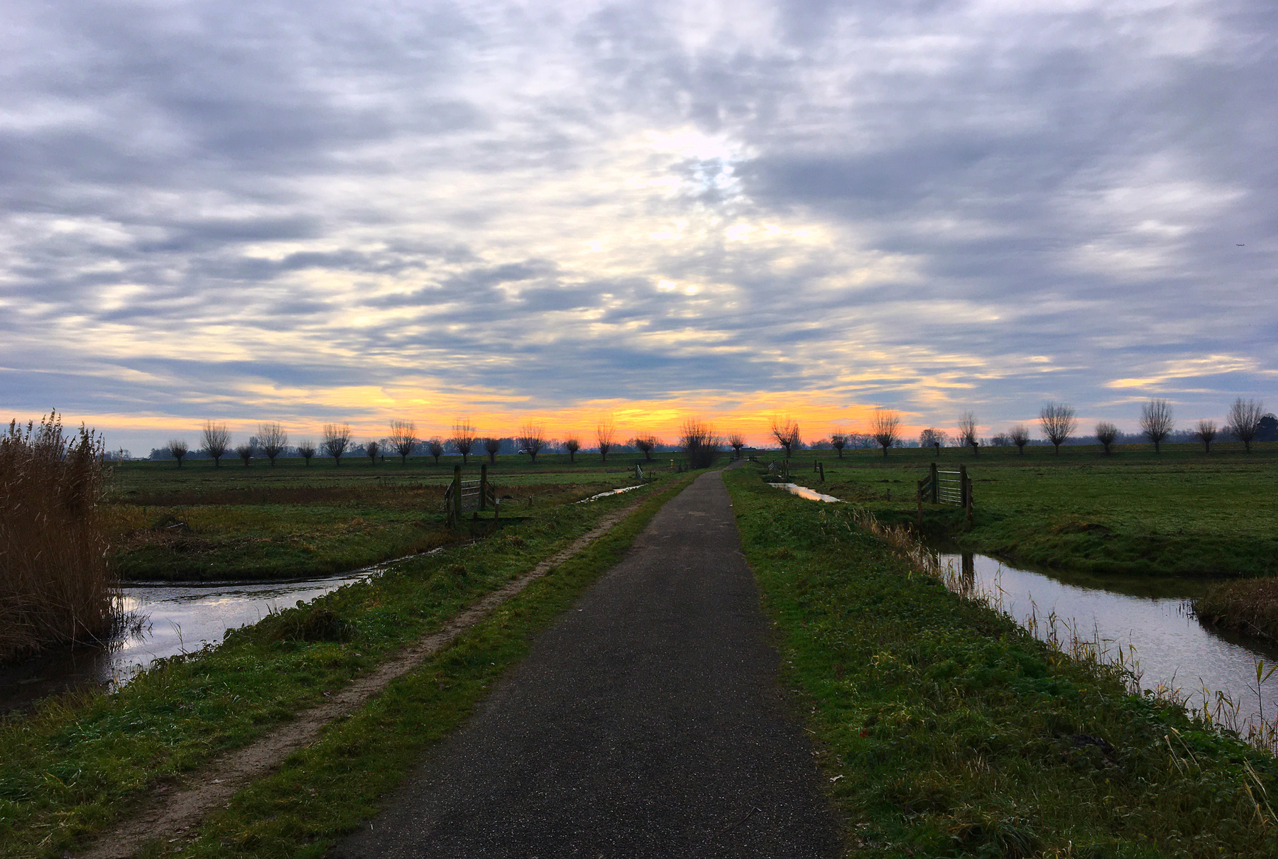 On the outskirts of Amstelwein 