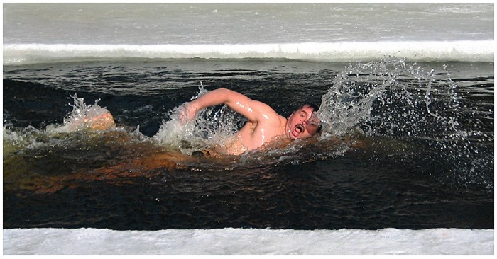 - 12'C ....  Доплыть бы... Морж,моржевание,плавание