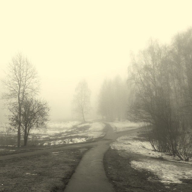 road-X туман, лес, дорога