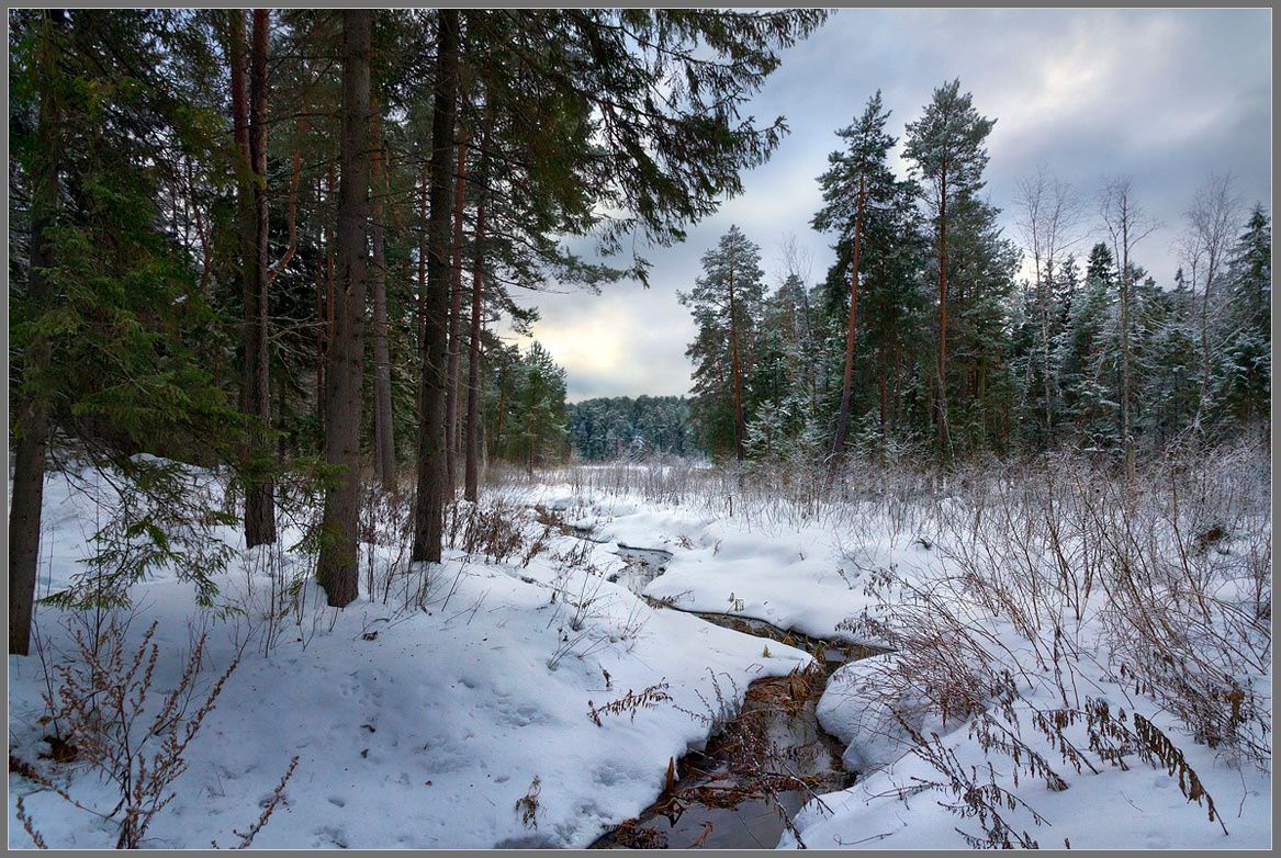 Тропами Селигера 