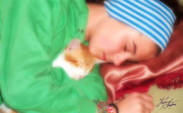 Cat, Girl, Dreams cat kitty girl sleeping dreams