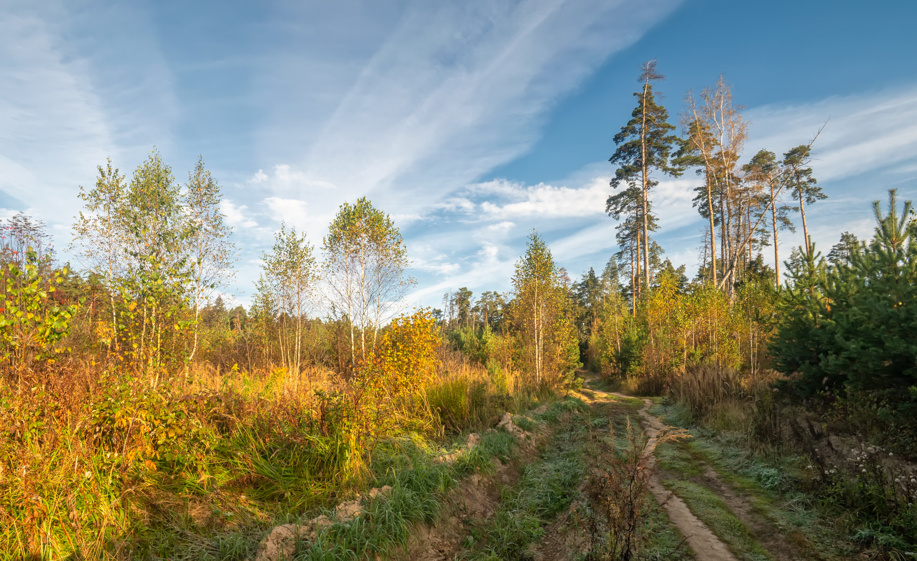 Первые заморозки в октябре 