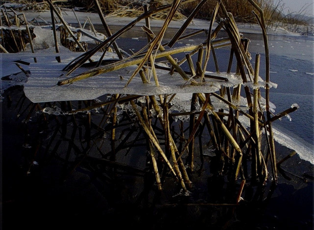Когда Вода Перестает Жить 